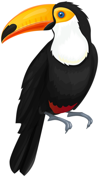 This png image - Toucan Bird PNG Clipart, is available for free download