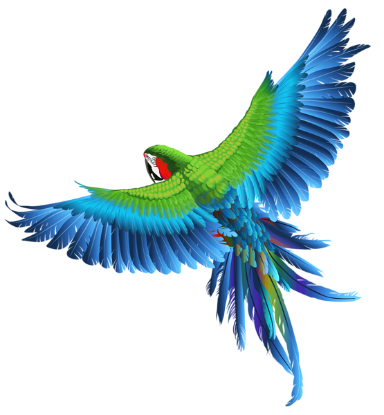 This png image - Transparent Parrot Clipart Picture, is available for free download