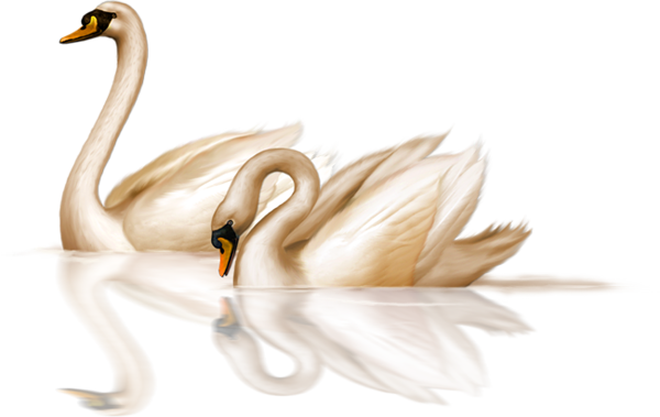 This png image - Two Bronze Swans Clip-art, is available for free download