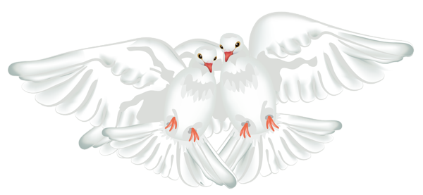 This png image - White Doves Transparent PNG Clipart, is available for free download