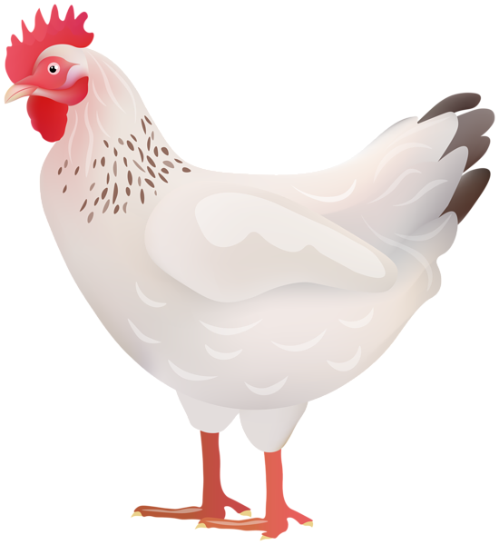 This png image - White Hen Transparent Image, is available for free download
