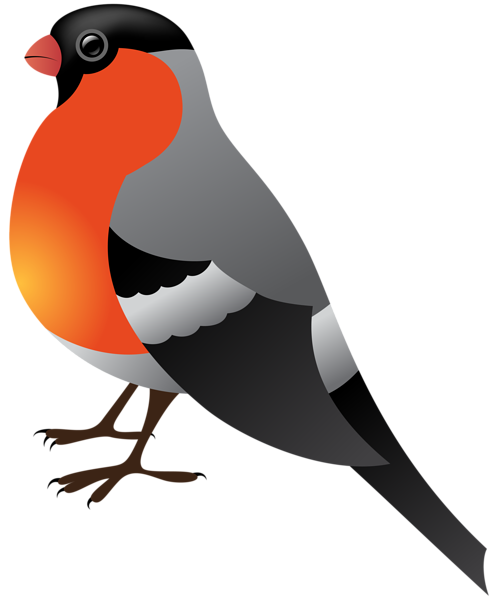 This png image - Winter Bird Transparent PNG Clip Art, is available for free download