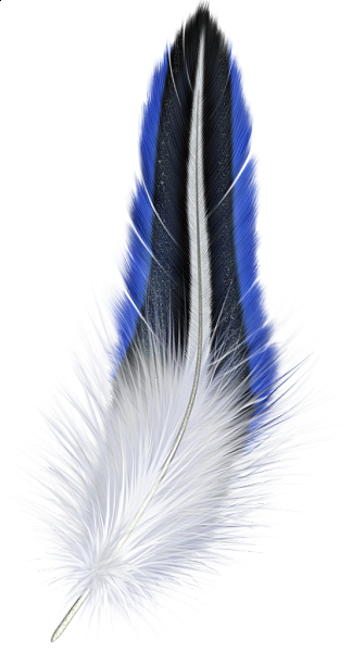 This png image - Blue and White Feather Clipart, is available for free download