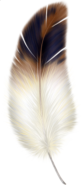 This png image - Brown and White Feather Clipart, is available for free download