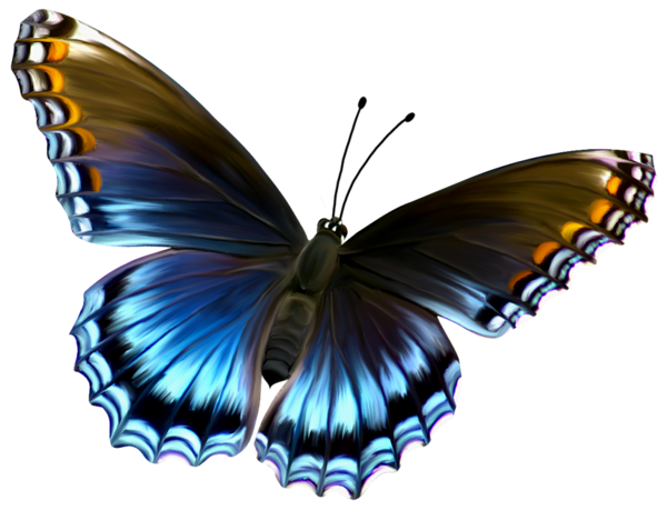 This png image - Beautiful Blue and Brown Butterfly PNG Clipart, is available for free download