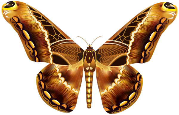 This png image - Beautiful Brown Butterfly PNG Clipart Image, is available for free download