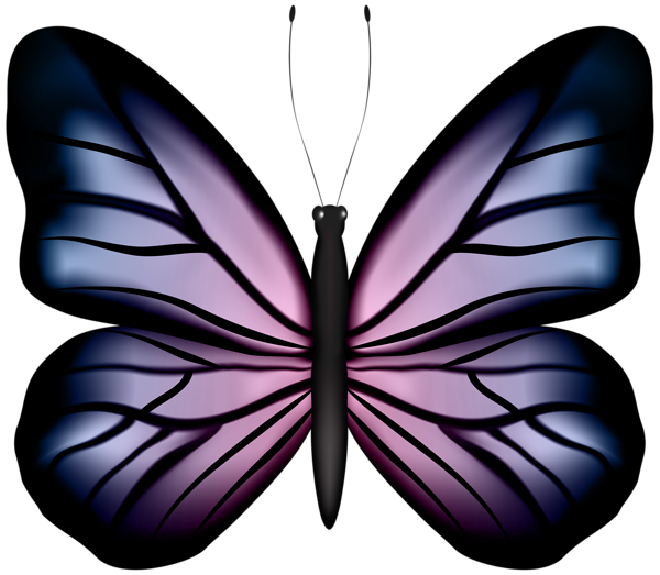 This png image - Beautiful Butterfly Blue Pink PNG Clipart, is available for free download