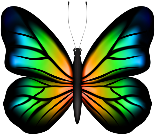 This png image - Beautiful Butterfly Multicolor PNG Clipart, is available for free download