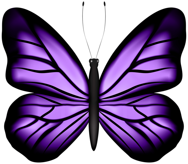 This png image - Beautiful Butterfly Purple PNG Clipart, is available for free download