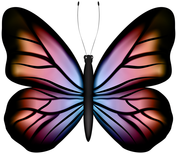 This png image - Beautiful Multicolored Butterfly PNG Clipart, is available for free download
