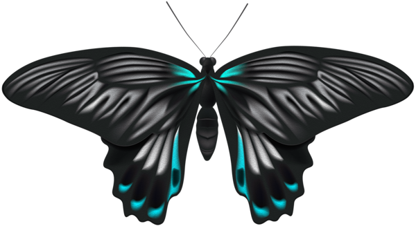 This png image - Black Blue Butterfly PNG Clip Art Image, is available for free download