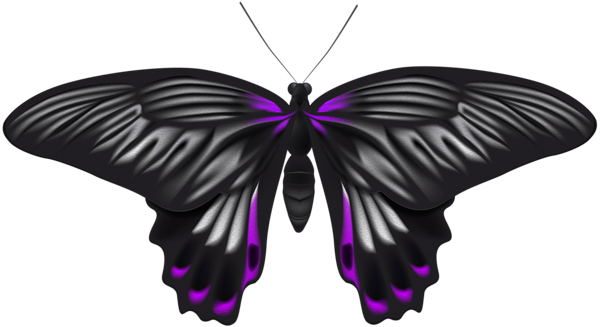 This png image - Black Purple Butterfly PNG Clip Art Image, is available for free download