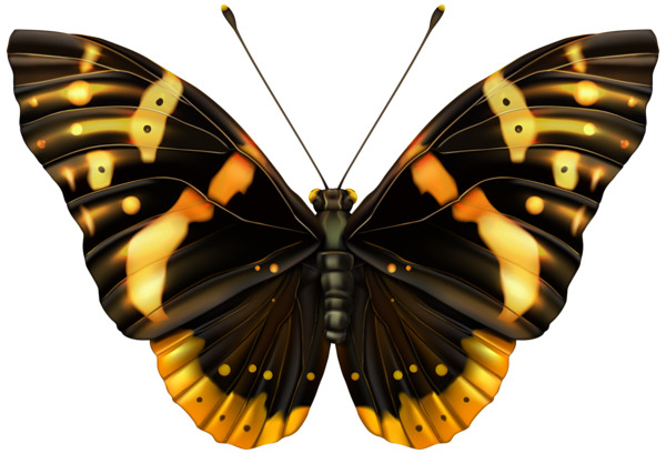 This png image - Black and Orange Butterfly Clipart PNG Image, is available for free download
