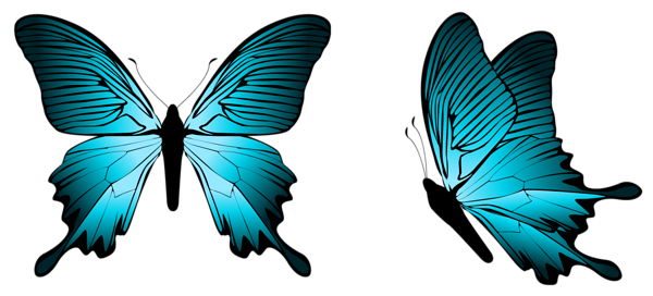 This png image - Blue Butterfly PNG Clipart Image, is available for free download