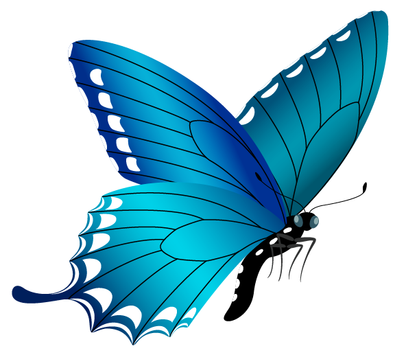 This png image - Blue Butterfly PNG Image, is available for free download