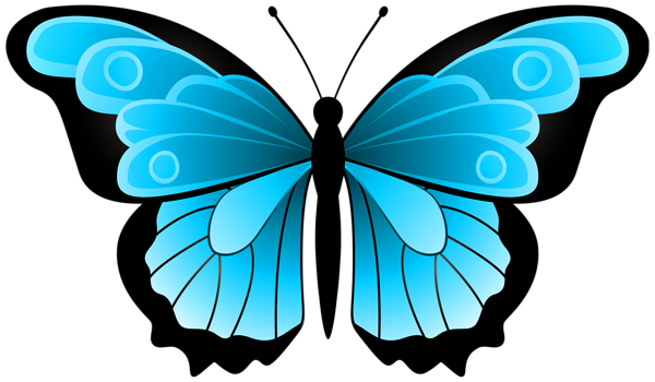 Blue Butterfly Transparent Clipart | Gallery Yopriceville - High