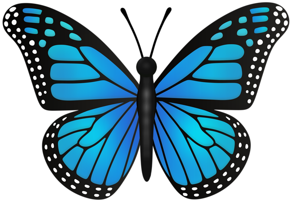 This png image - Blue Butterfly Transparent PNG Clipart, is available for free download