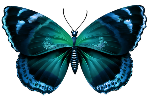 This png image - Blue Butterfly Transparent PNG Image, is available for free download