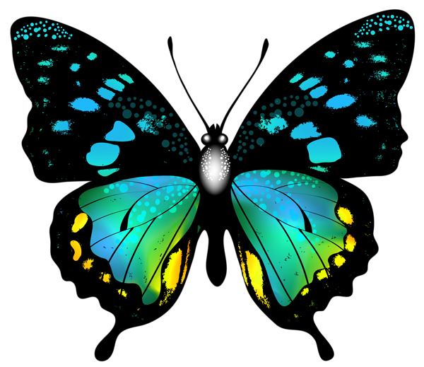 This png image - Blue Colorful Butterfly PNG Clip Art Image, is available for free download