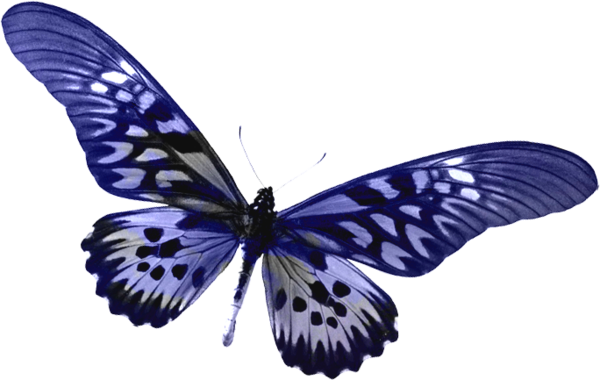 This png image - Blue Transparent Butterfly Clipart, is available for free download