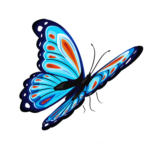 This png image - Blue and Red Butterfly PNG Clipart Picture, is available for free download