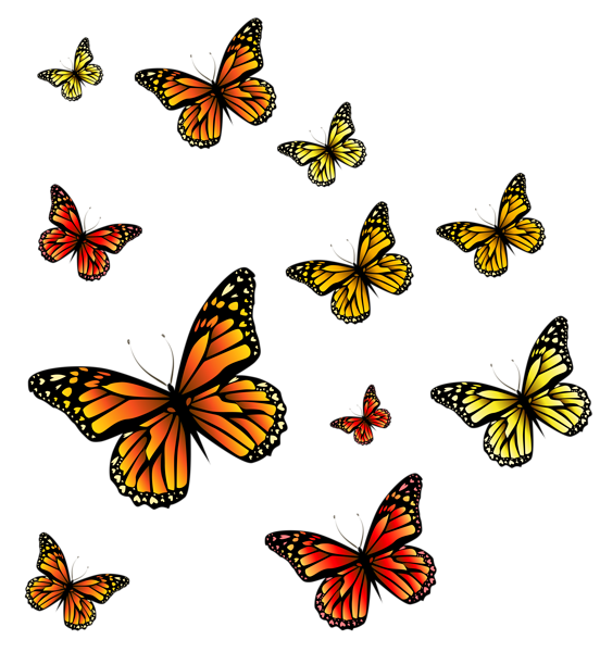 This png image - Butterflies PNG Image, is available for free download