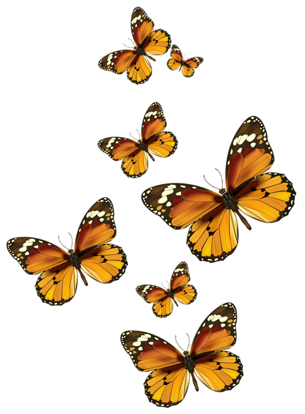 This png image - Butterflies Vector PNG Clipart Picture, is available for free download