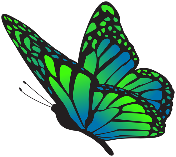 This png image - Butterfly Blue Green Clipart Image, is available for free download