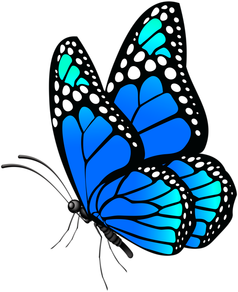 This png image - Butterfly Blue PNG Clip Art Image, is available for free download