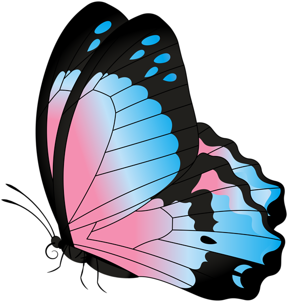 c*n様 POTETE butterfly clip pink✖️blue バタ c*n様 POTETE butterfly clip pink✖️blue バタ butterfly clip