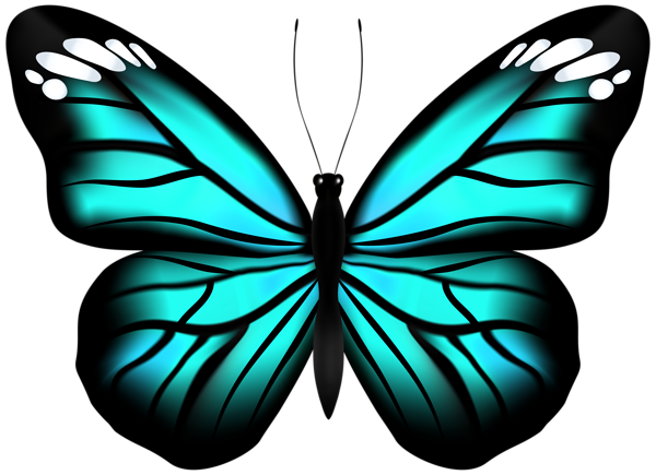 This png image - Butterfly Blue Transparent PNG Clipart, is available for free download
