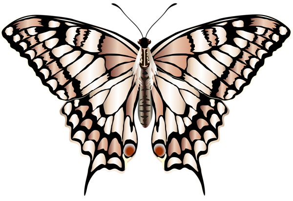 This png image - Butterfly Clip Art PNG Transparent Image, is available for free download
