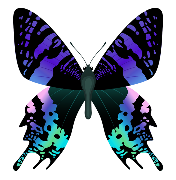 This png image - Butterfly Clipart Image, is available for free download