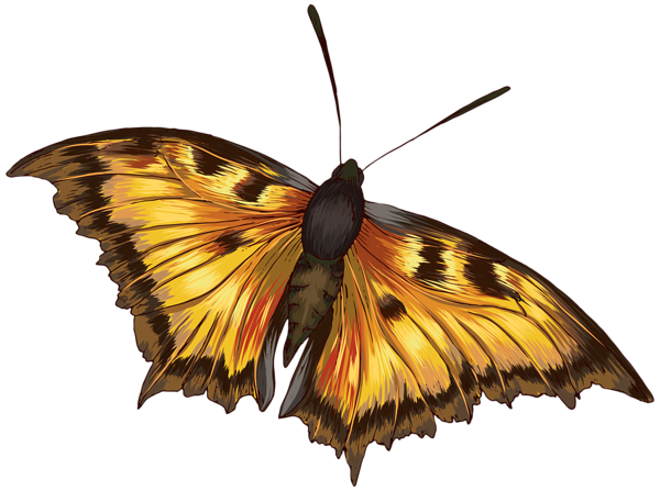 This png image - Butterfly Clipart PNG Image, is available for free download