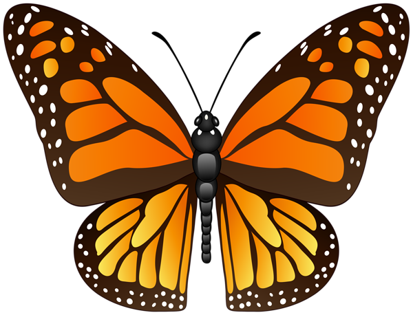 This png image - Butterfly Decorative PNG Image, is available for free download
