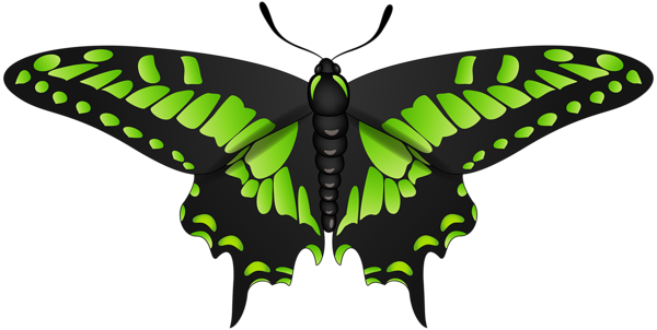 This png image - Butterfly Green Black Clip Art Image, is available for free download