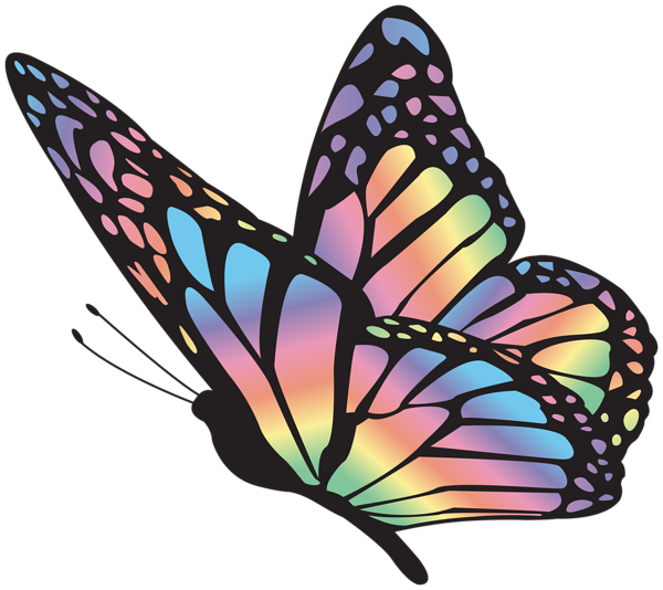 This png image - Butterfly Multicolor Clipart Image, is available for free download