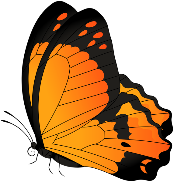 Butterfly Orange Transparent Clip Art Image | Gallery Yopriceville