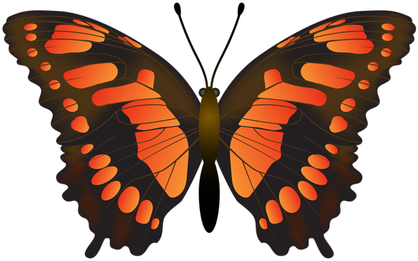 This png image - Butterfly Orange Transparent PNG Clip Art, is available for free download