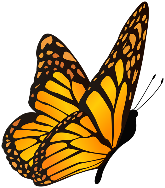 This png image - Butterfly Orange Yellow Clipart Image, is available for free download