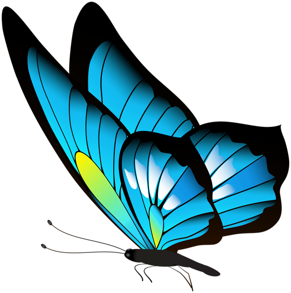 This png image - Butterfly PNG Clip Art, is available for free download