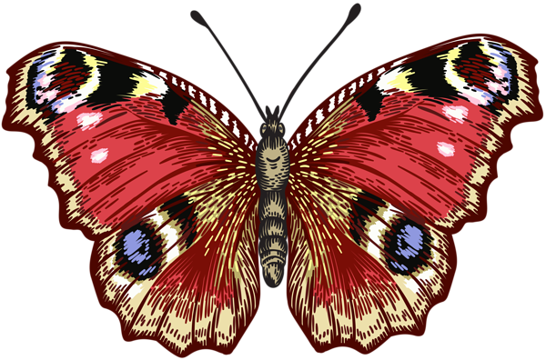 This png image - Butterfly PNG Clip Art Image, is available for free download