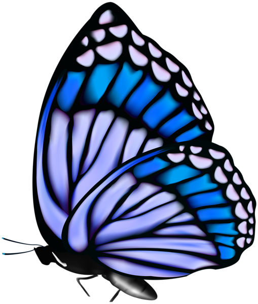 Butterfly PNG Clip Art Image | Gallery Yopriceville - High-Quality ...