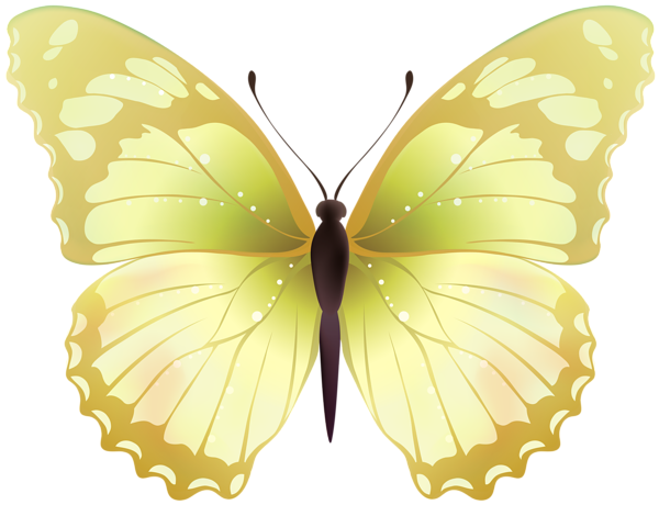 This png image - Butterfly PNG Clip Art Transparent Image, is available for free download
