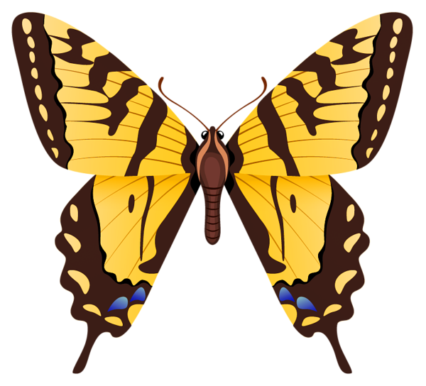 This png image - Butterfly PNG Clipart Image, is available for free download