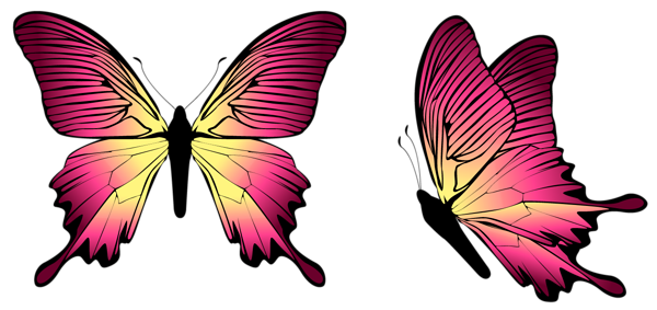 This png image - Butterfly PNG Image, is available for free download