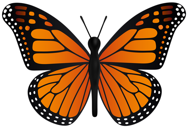This png image - Butterfly PNG Transparent Clipart, is available for free download