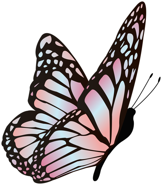 This png image - Butterfly Pink Blue Clipart Image, is available for free download