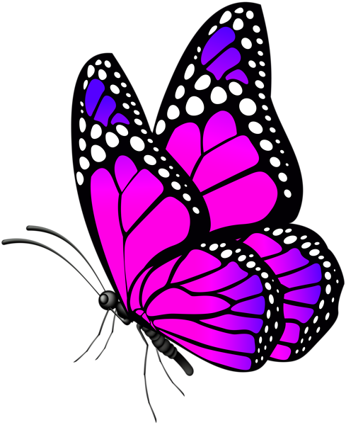 This png image - Butterfly Pink PNG Clip Art Image, is available for free download