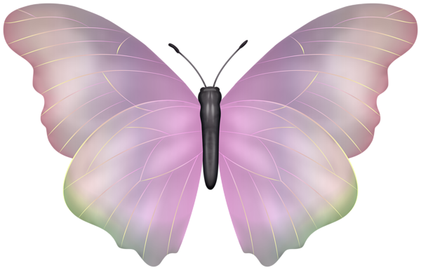 This png image - Butterfly Pink PNG Clipart Image, is available for free download